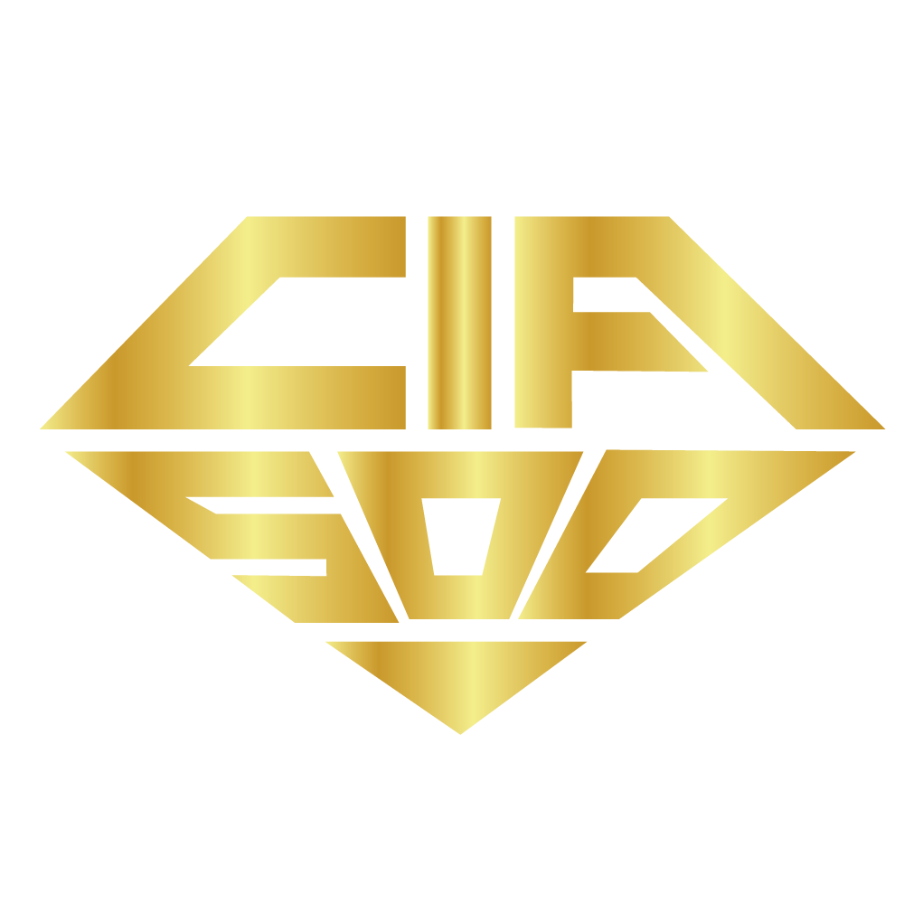 CIA 500